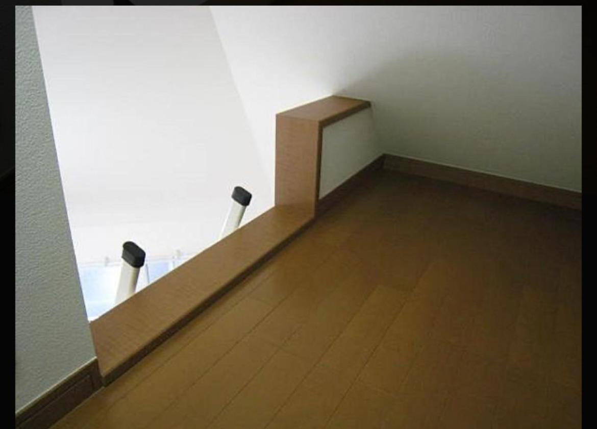 Shinjuku Sunny House Entire *